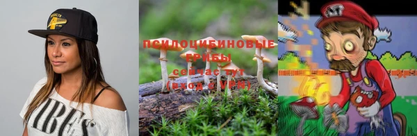дурь Беломорск