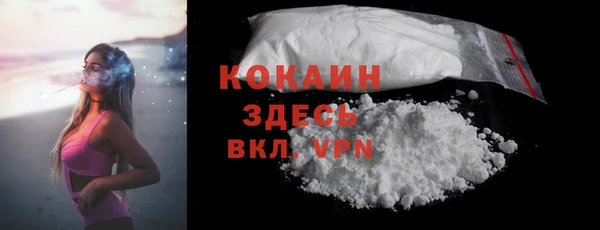 соль ск Белокуриха