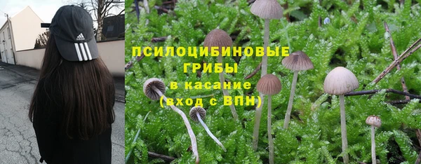соль ск Белокуриха