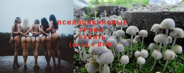 дурь Беломорск