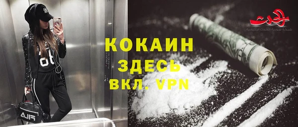 соль ск Белокуриха