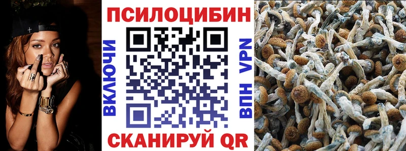 Галлюциногенные грибы MAGIC MUSHROOMS  купить наркотик  Мурино 
