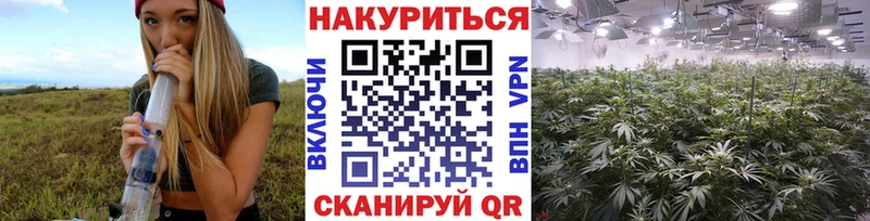 Бошки марихуана семена Мурино